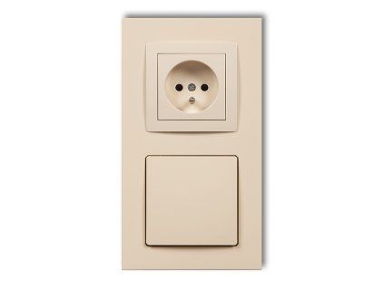 Central vacum cleaner suction socket with a single socket with earth
