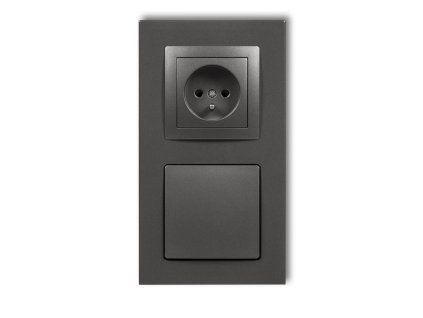 Central vacum cleaner suction socket with a single socket with earth