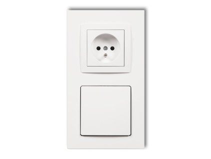 Central vacum cleaner suction socket with a single socket with earth