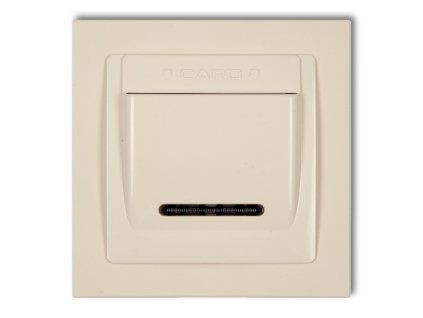 DECO Hotel switch with a single universal plastic DECO frame