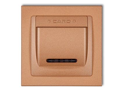 DECO Hotel switch with a single universal plastic DECO frame