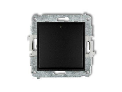 Double pole switch mechanism