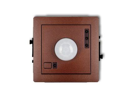 Electronic motion sensor