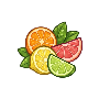 Citrusové ovoce