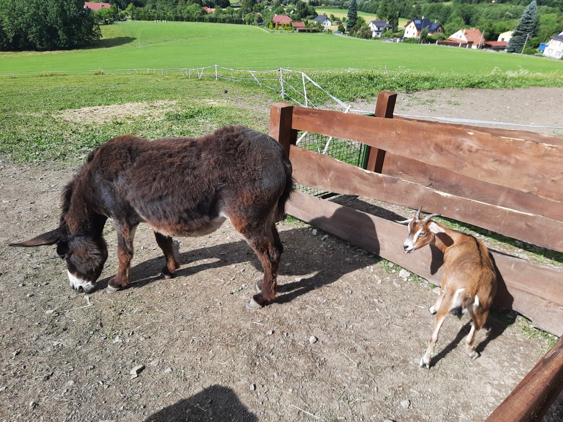 Zoopark Horečky ranč: zvířátka zblízka u Frenštátu pod Radhoštěm