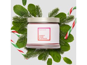 0037 FH23 Candy Cane Spruce G73H2083 a