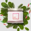 0037 FH23 Candy Cane Spruce G73H2083 a