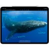 ipad pro 11 m4 silver cellular 052024e 04 12