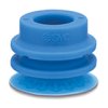 8815CCm