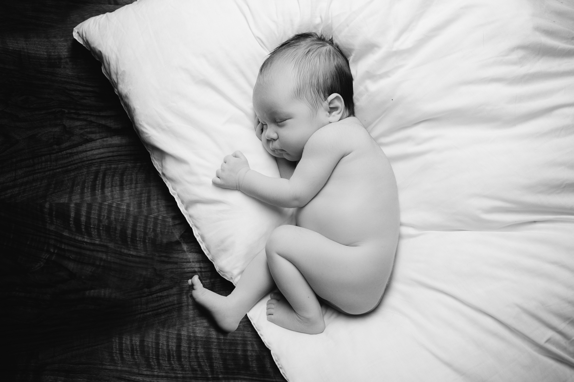 autorské fotografie koní