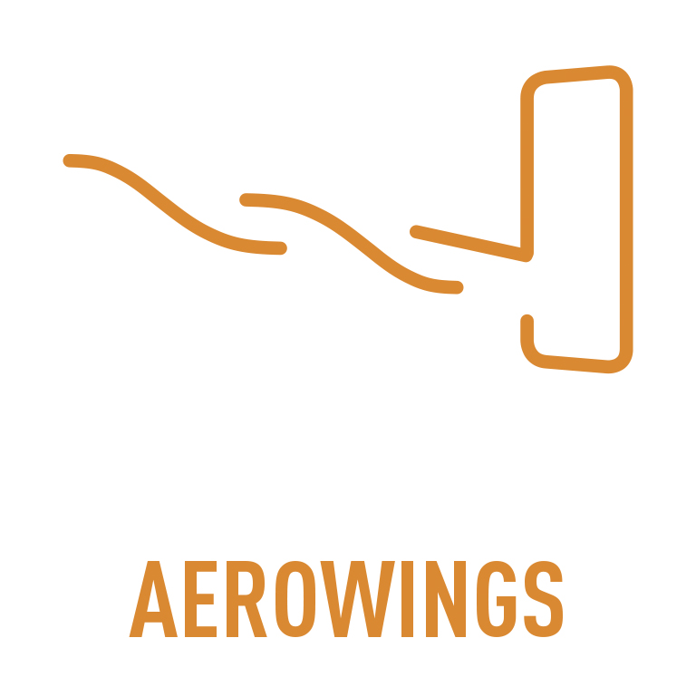 LOGO_AEROWINGS