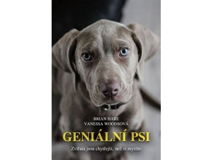 101903 genialni psi zvirata jsou chytrejsi nez si myslite