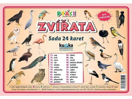 105362 ptaci zvirata sada 24 karet