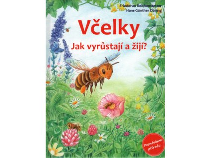 Včelky - Jak vyrůstají a žijí?