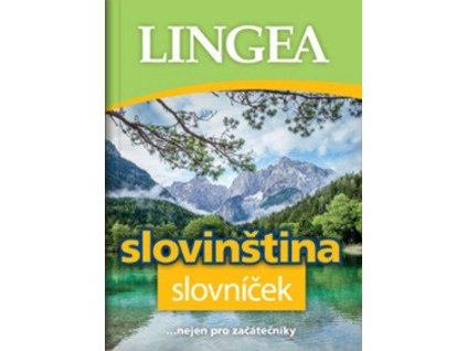 106961 slovinstina slovnicek nejen pro zacatecniky