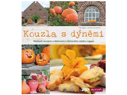 107783 kouzla s dynemi nejlepsi recepty a dekorace z dynoveho statku ligges