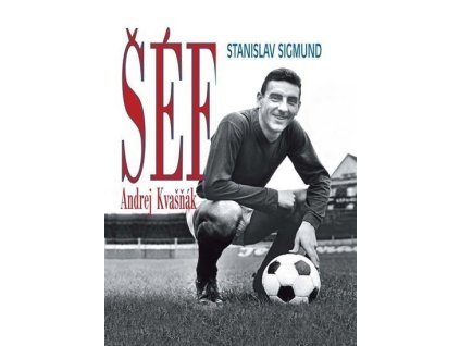 108887 sef andrej kvasnak