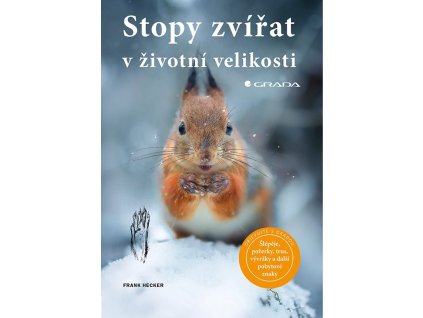 110138 stopy zvirat v zivotni velikosti stopy zvirat v zivotni velikosti