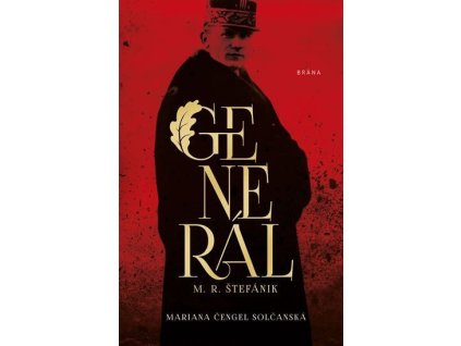 110411 general m r stefanik