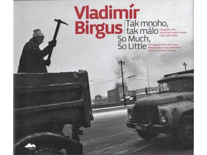 Tak mnoho, tak málo : fotografie z let, kdy se tak mnoho muselo a tak málo smělo = So much, so little : photographs from the years when so much was demanded and so little was allowed