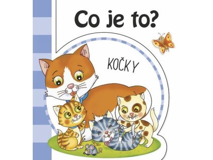 112805 co je to kocky