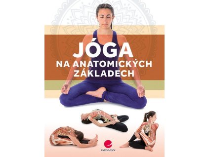 114434 joga na anatomickych zakladech