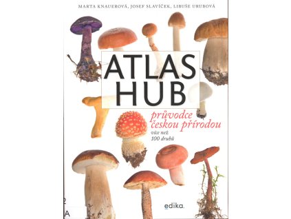 Atlas hub