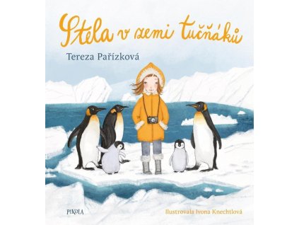 117539 stela v zemi tucnaku