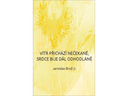 119075 vitr prichazi necekane srdce bije dal odhodlane