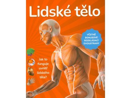 121172 lidske telo