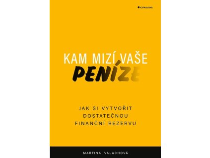 122753 kam mizi vase penize jak si vytvorit dostatecnou financni rezervu