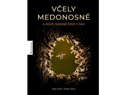 123614 vcely medonosne a jejich tajemny zivot v lese
