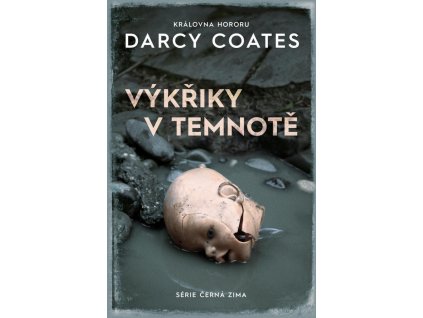 124820 vykriky v temnote
