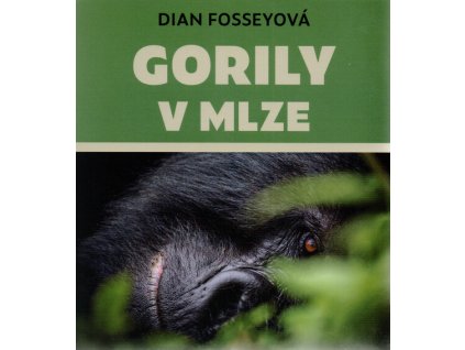 Gorily v mlze