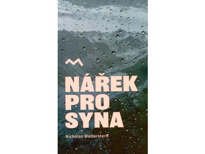Nářek pro syna