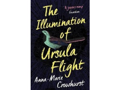 127016 the illumination of ursula flight