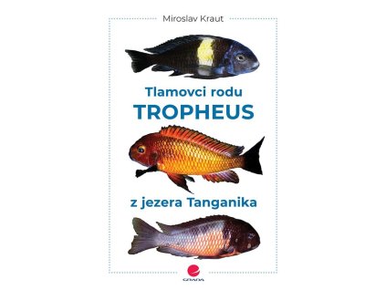127559 tlamovci rodu tropheus z jezera tanganika