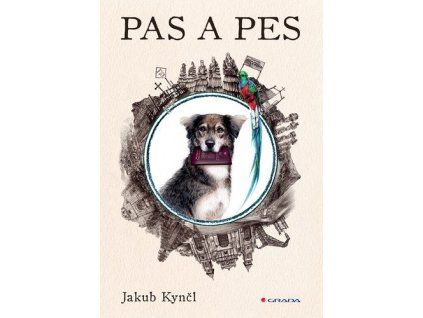 128015 128015 pas a pes