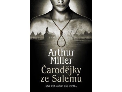 128357 carodejky ze salemu