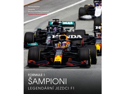 130376 formule 1 sampioni