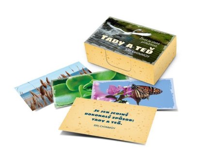 134492 tady a ted zivot je zlata prilezitost karty