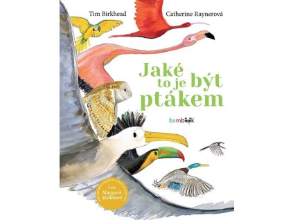 135077 jake to je byt ptakem