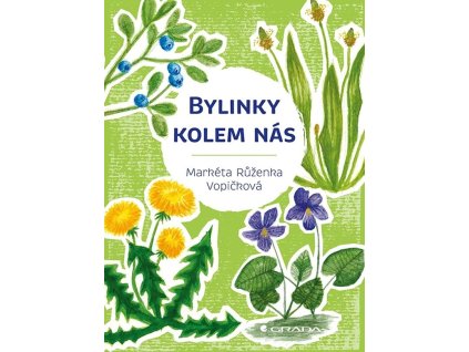 138020 bylinky kolem nas