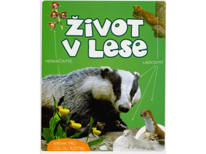 Život v lese