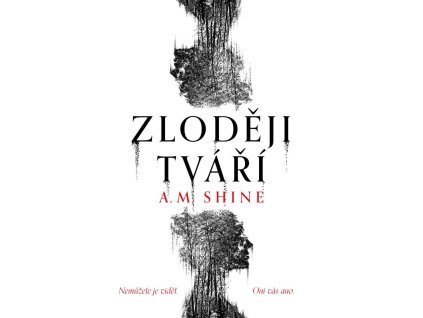 141905 zlodeji tvari