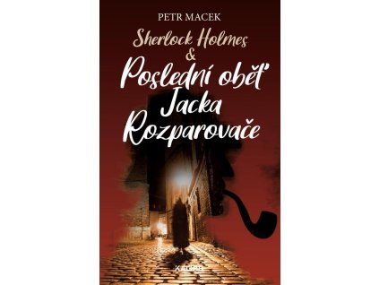 141926 sherlock holmes posledni obet jacka rozparovace
