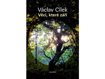 Věci, které září : o malých zasvěcencích, podivínech a vizionářích a o tichém bílém proudění starým kosmem