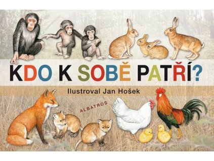 Kdo k sobě patří