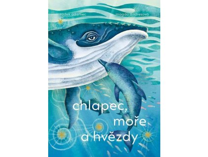 143390 chlapec more a hvezdy