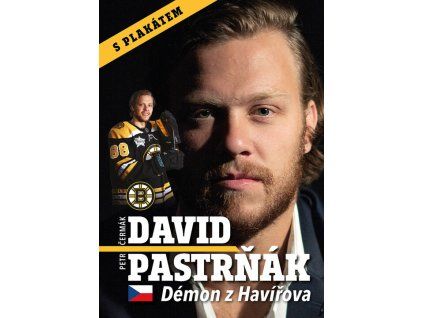 144398 david pastrnak